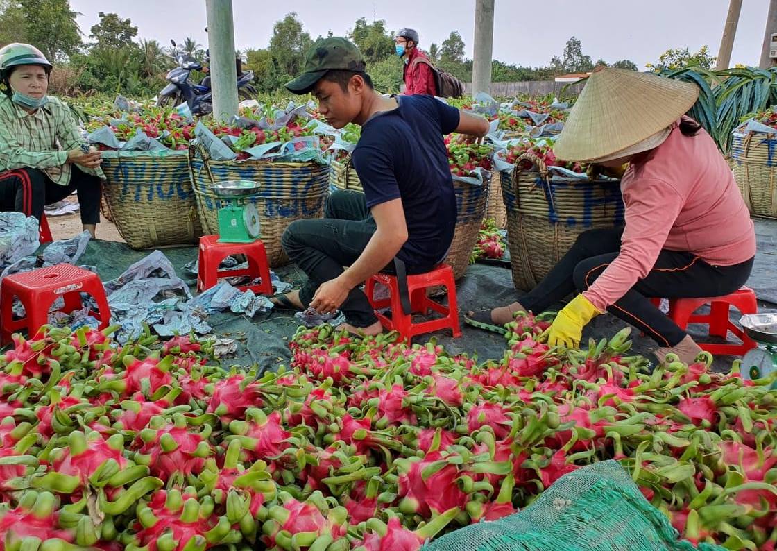 Xuất khẩu nông sản đi Trung Quốc dịp Tết dự báo gặp khó - Ảnh 2.