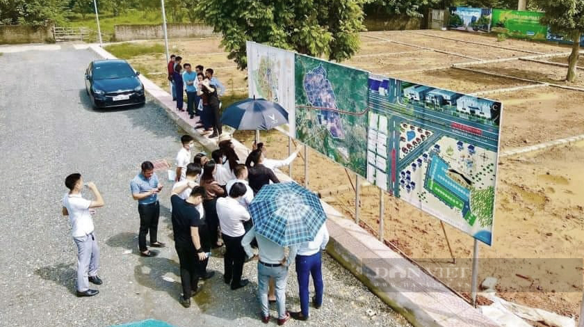 Bất động sản khắp nơi tăng giá, nhưng tiền đang đổ vào phân khúc nào? - Ảnh 2.