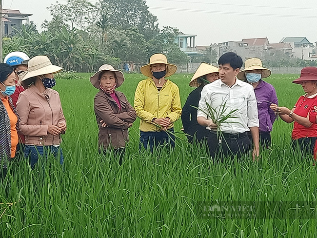đào tạo nghề cho lao động nông thôn
