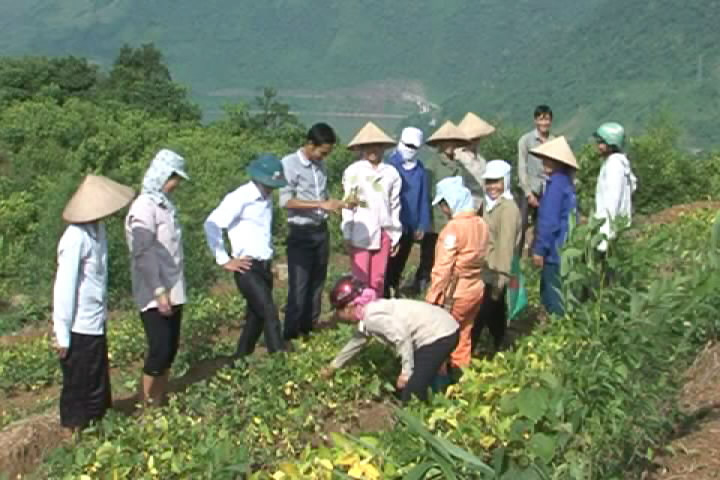 Nhiều điểm mới tại Dự thảo Đổi mới đào tạo nghề cho lao động nông thôn tới năm 2030 - Ảnh 3.