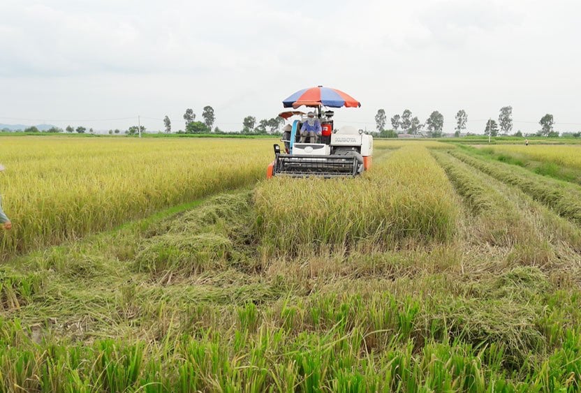 Huyện Yên Dũng (Bắc Giang): Bứt phá trong xây dựng nông thôn mới - Ảnh 4.