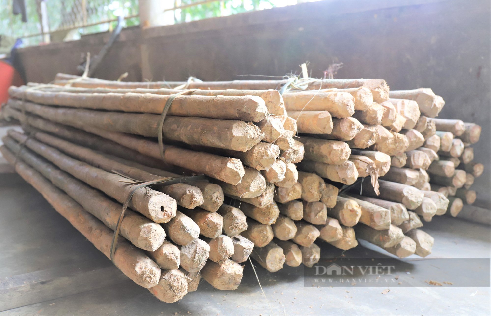Người dân Hà Tĩnh “vót tiền” bằng cau rừng làm đũa - Ảnh 3.