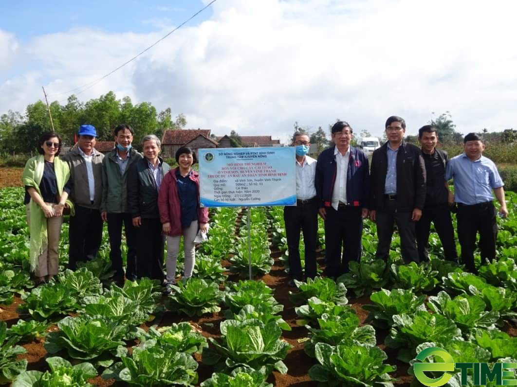 Người Ba Na trồng rau VietGAP - Ảnh 3.