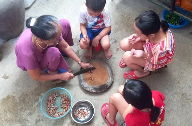 Kể chuyện làng: Trám bùi nên thương - Ảnh 4.
