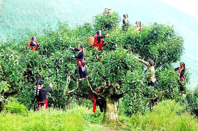 Tỉnh nào của Việt Nam nổi tiếng với chợ tình Phong Lưu? - Ảnh 6.