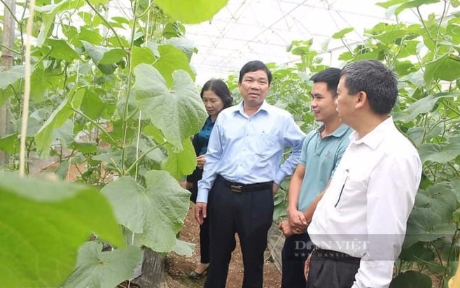 Nghệ An: Chàng thanh niên 9X khiến 400 triệu/năm nhờ trồng dưa lưới trên vùng đất đỏ   - Ảnh 5.