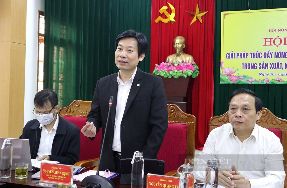 Hội Nông dân tỉnh Nghệ An: Tìm giải pháp thúc đẩy nông dân ứng dụng công nghệ cao vào sản xuất   - Ảnh 4.