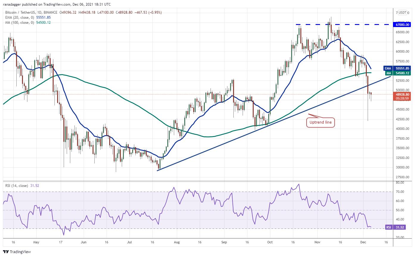 Giá Bitcoin hôm nay 7/12: Bitcoin vượt mốc 50.000 USD, thị trường tăng trở lại - Ảnh 1.