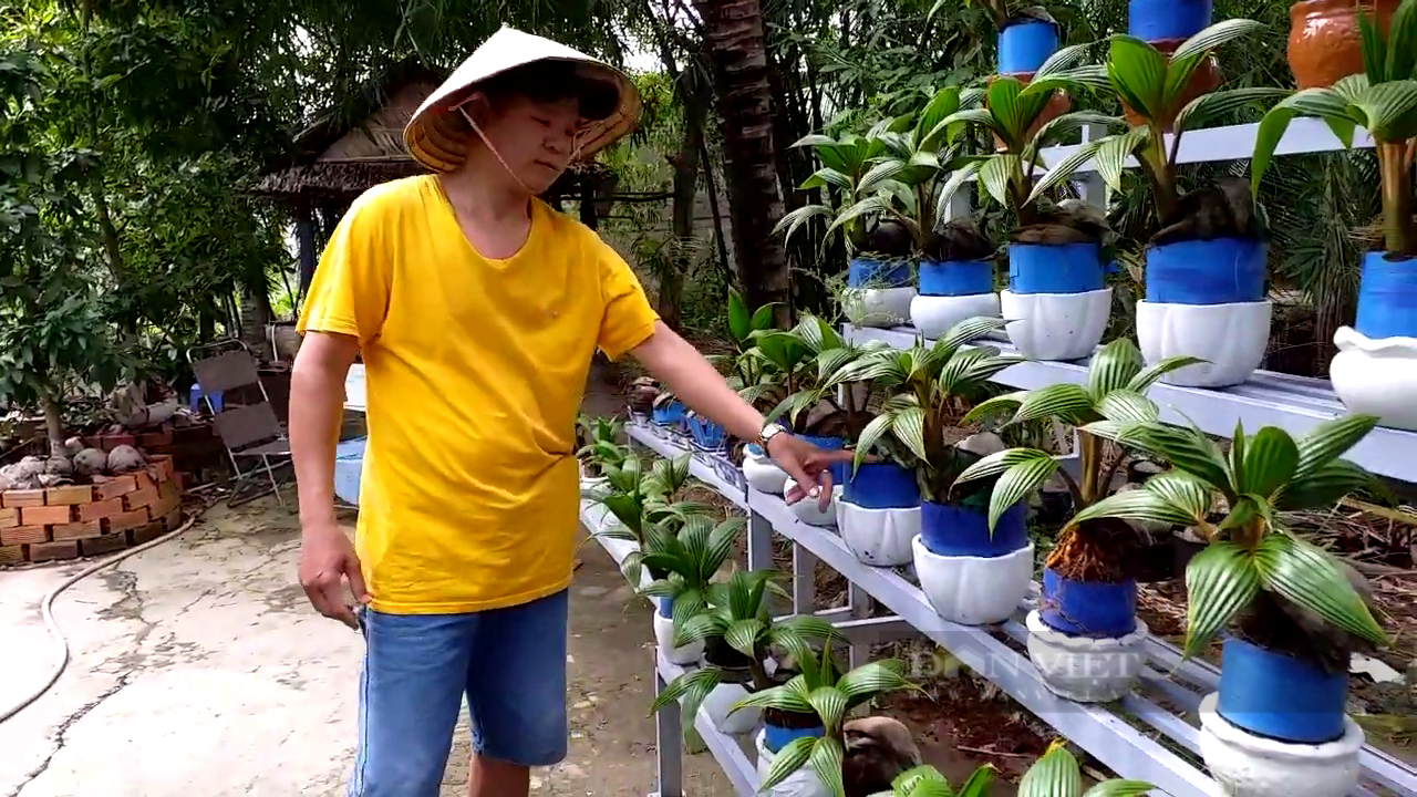Nông dân &quot;Thủ phủ trái cây&quot; rục rịch đưa sản phẩm độc, lạ ra chợ nông sản Tết - Ảnh 6.