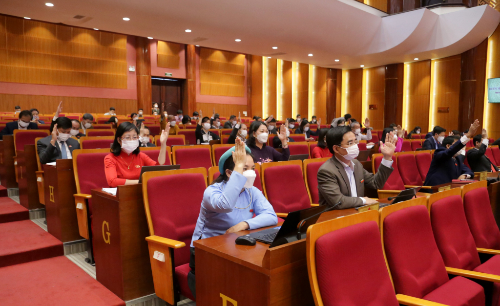 Bãi nhiệm tư cách đại biểu HĐND tỉnh đối với Bí thư Cô Tô - Ảnh 1.
