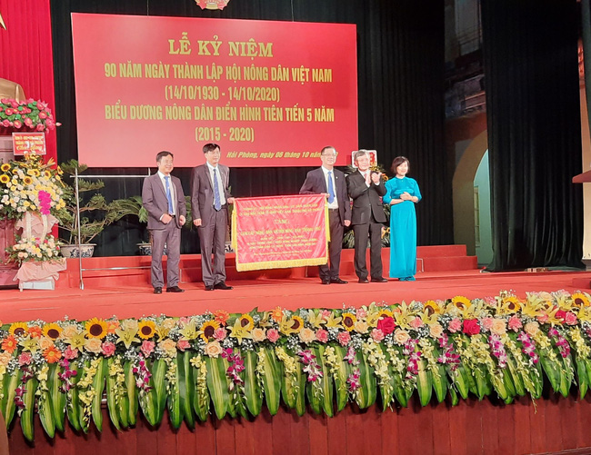 Thủ lĩnh nông dân Hải Phòng: Trình làng chương trình hành động gì để được dân bầu đại biểu HĐND - Ảnh 3.