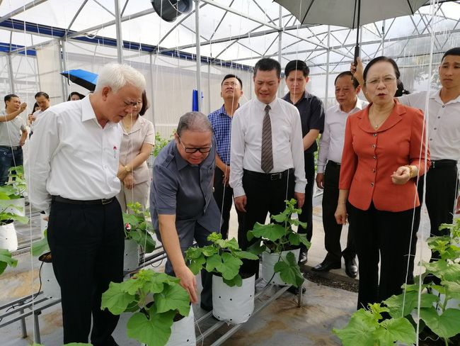Thủ lĩnh nông dân Hải Phòng: Trình làng chương trình hành động gì để được dân bầu đại biểu HĐND - Ảnh 1.