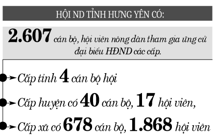 Tuyên truyền về bầu cử đến từng hội viên nông dân - Ảnh 4.