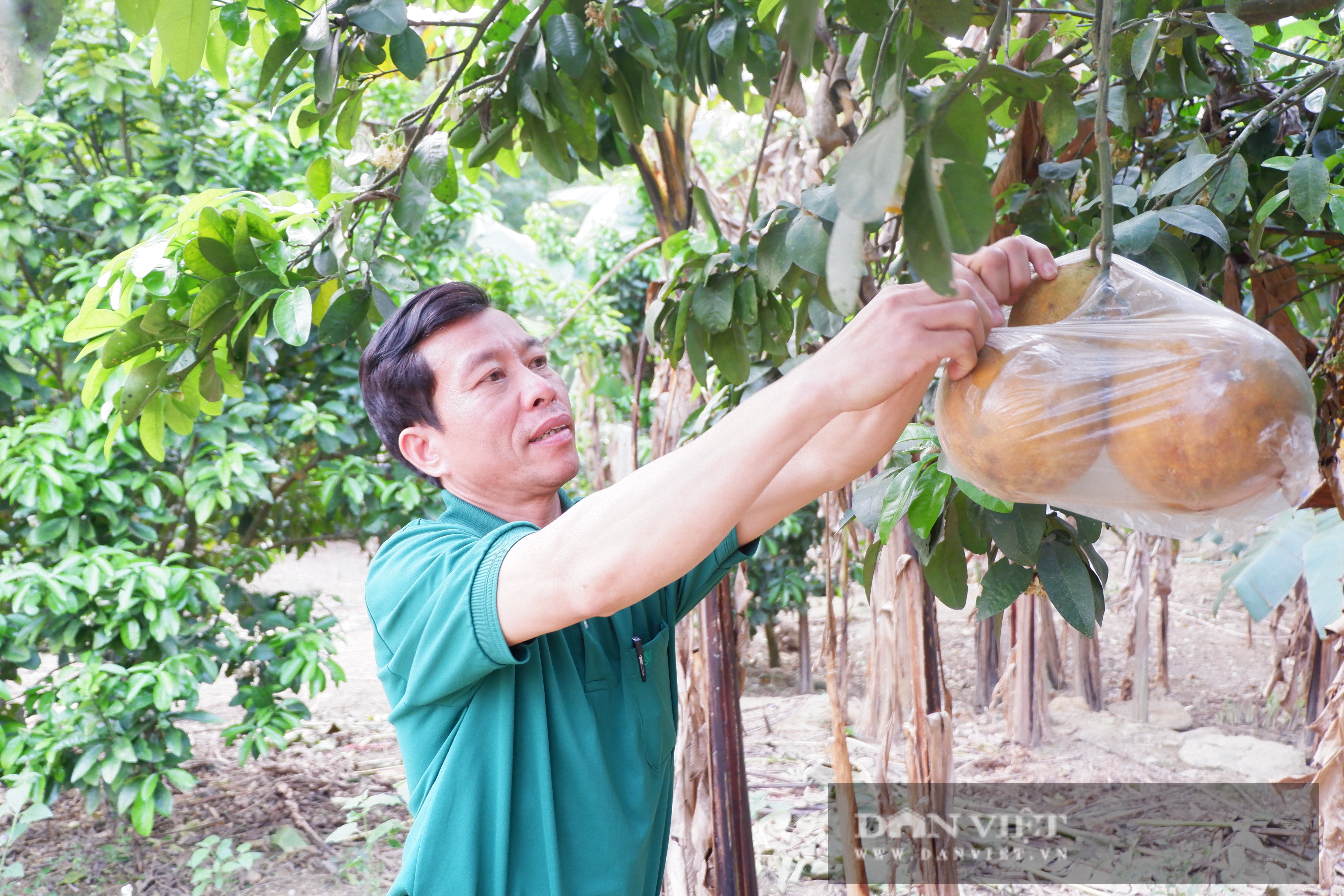 Hòa Bình: Người &quot;Thủ lĩnh&quot; nông dân ở xứ Mường được dân làng ai ai cũng nể phục bởi việc làm này  - Ảnh 7.