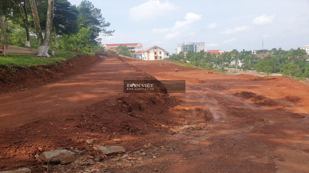 Đắk Nông: Vụ &quot;xẻ thịt&quot; quả đồi đẹp nhất TP. Gia Nghĩa - Nhập nhằng doanh nghiệp bán dự án cho cá nhân - Ảnh 3.