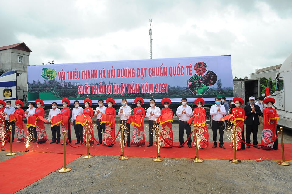 Hải Dương: Vải thiều Thanh Hà là sản phẩm mũi nhọn, tạo ra giá trị cao so với các quốc gia trồng vải khác - Ảnh 1.