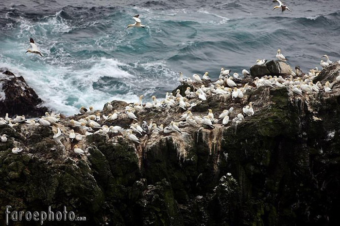 Khám phá quần đảo Faroe - “bí mật du lịch” được giữ kín nhất châu Âu - Ảnh 4.