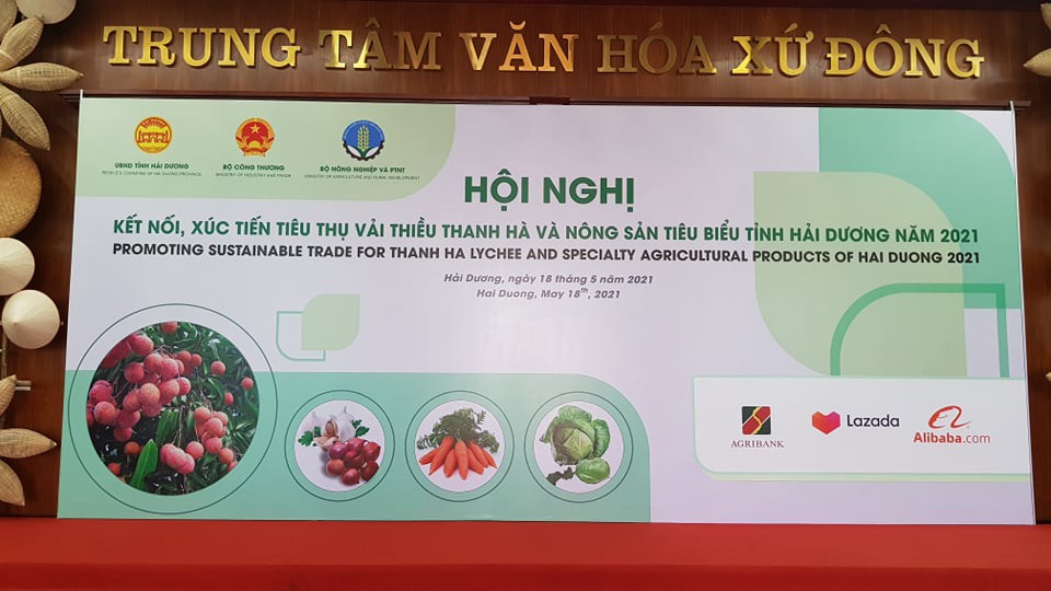 Vải thiều Thanh Hà lên sàn Lazada, Sendo giá 150 nghìn/kg, giao tới tay khách chỉ trong 4 giờ - Ảnh 1.