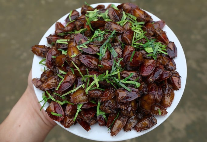 Đặc sản từ loài côn trùng vừa hôi rình vừa có thể gây mù lòa ngon cỡ nào mà khiến nhiều người bất chấp? - Ảnh 4.