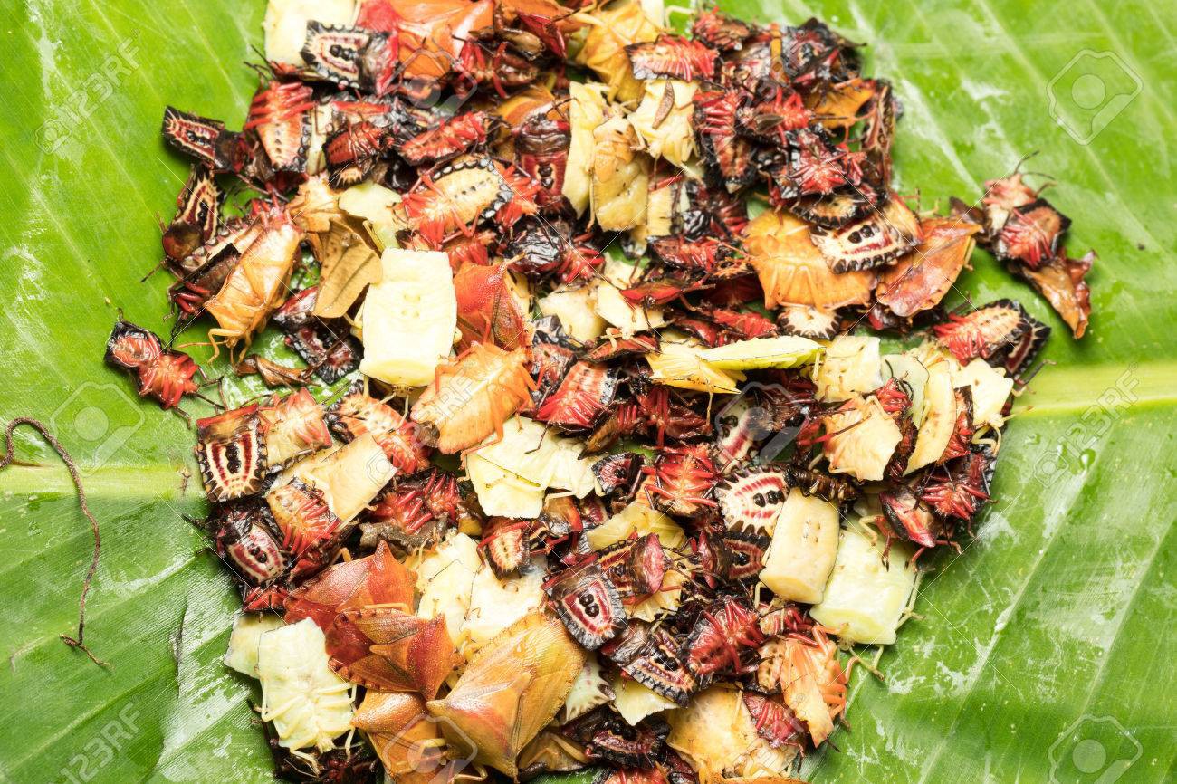 Đặc sản từ loài côn trùng vừa hôi rình vừa có thể gây mù lòa ngon cỡ nào mà khiến nhiều người bất chấp? - Ảnh 9.