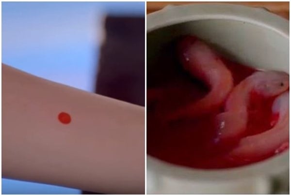 Vì sao hoàng đế Trung Hoa &quot;gần gũi&quot; nhiều mỹ nhân nhưng ít mắc bệnh tình dục? - Ảnh 2.