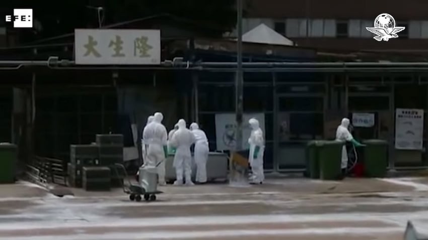 Các nhà khoa học Trung Quốc cảnh báo một loại virus khác có thể gây ra đại dịch - Ảnh 1.