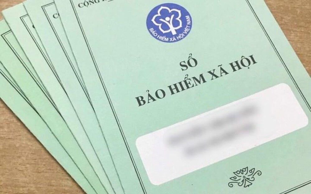 Hiệp hội taxi 3 miền &quot;xin&quot; ngừng đóng bảo hiểm xã hội,  - Ảnh 2.