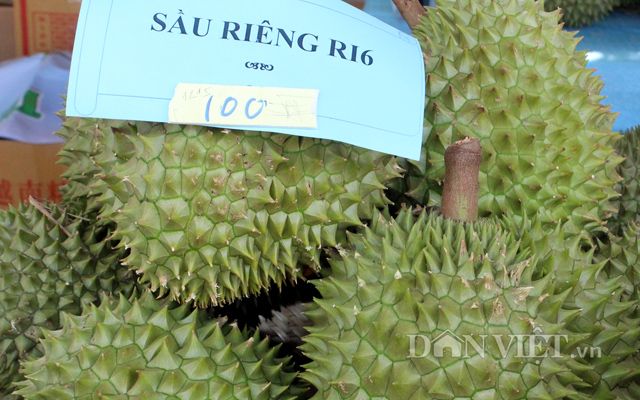 Thị trường có nhu cầu lớn với sầu riêng sạch