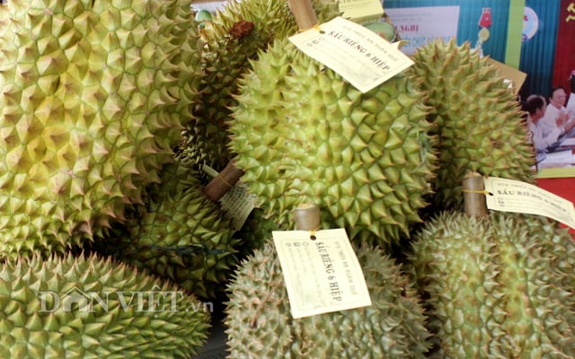 Sầu riêng VietGAP Đồng Nai