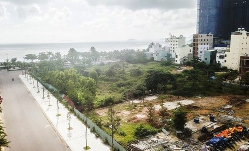 &quot;Đất vàng&quot; bỏ hoang, Bình Định lên phương án làm rào bảo vệ chờ đấu giá - Ảnh 2.