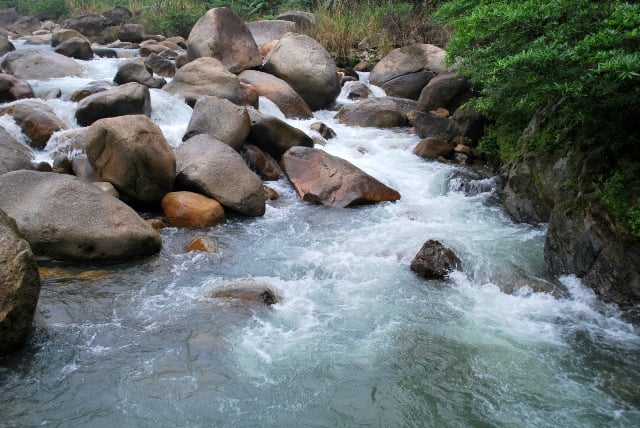 Đi săn bắt tôm suối rồi đem nướng lá chuối, nhà giàu có tiền nhiều chưa chắc được nếm thử - Ảnh 2.