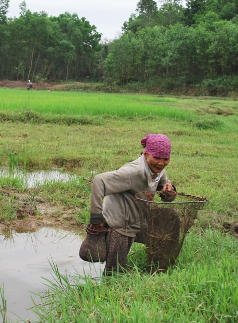 Đi săn bắt tôm suối rồi đem nướng lá chuối, nhà giàu có tiền nhiều chưa chắc được nếm thử - Ảnh 3.