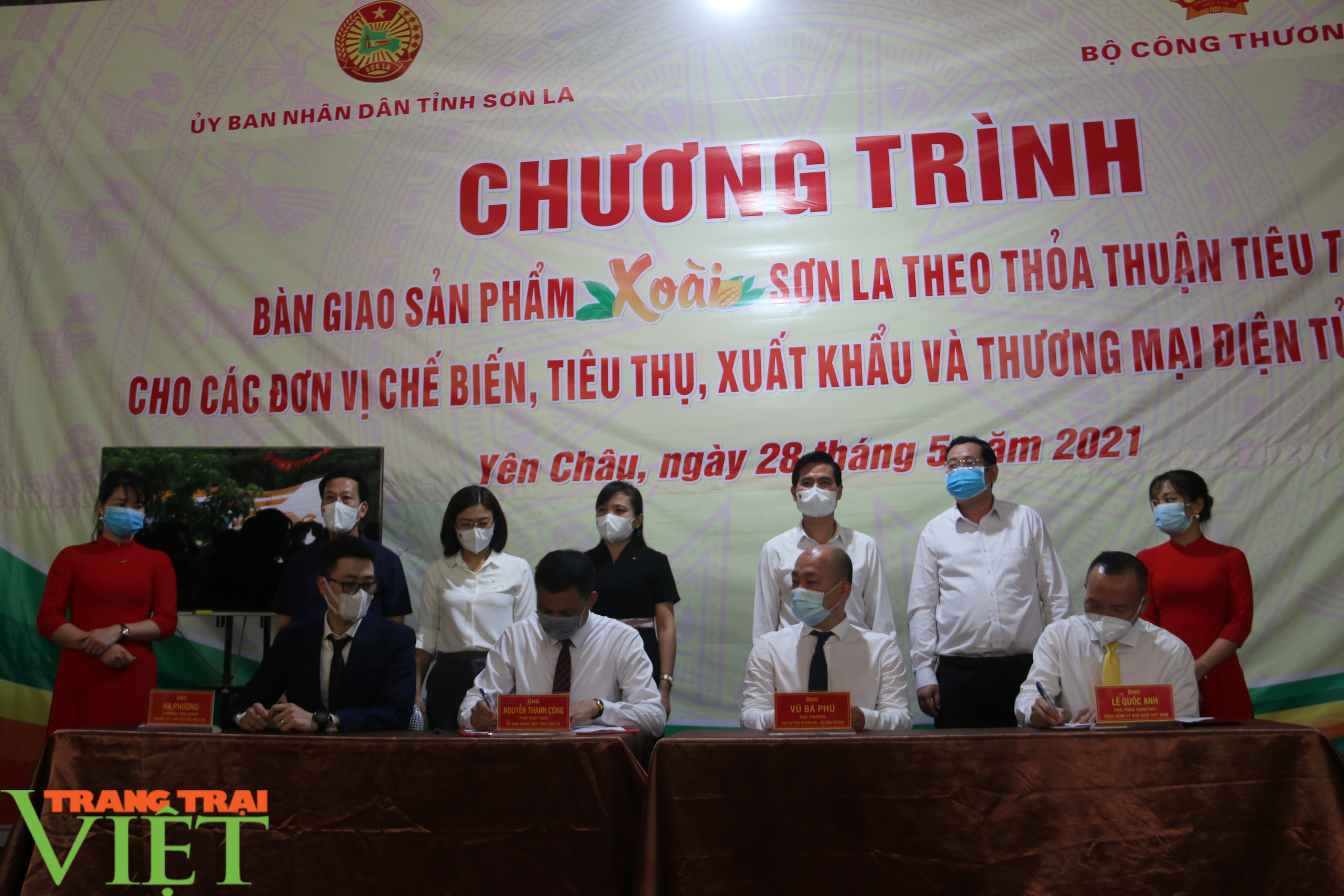 Sơn La: Bàn giao xoài theo thoả thuận tiêu thụ cho các đơn vị chế biến, xuất khẩu - Ảnh 3. Sơn La: Bàn giao xoài theo thoả thuận tiêu thụ cho các đơn vị chế biến, xuất khẩu - Ảnh 3.