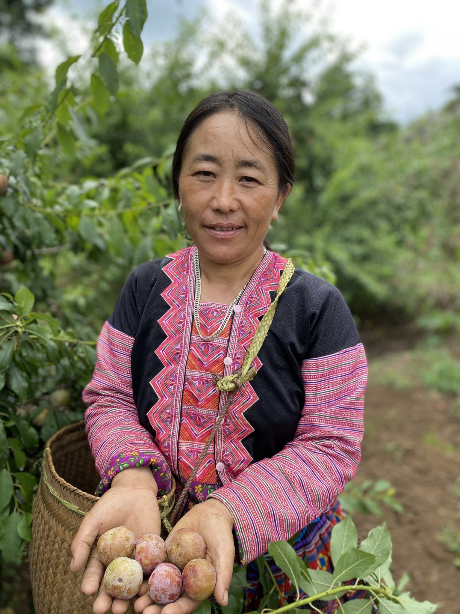 Mận hậu, xoài tròn Sơn La chính thức lên sàn thương mại điện tử - Ảnh 3.