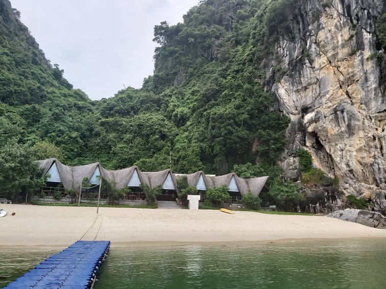 Các nhà khoa học lên tiếng việc phá công trình du lịch sinh thái để trồng cây trên vịnh Lan Hạ - Ảnh 4.