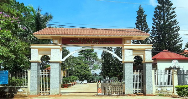 Khởi tố Giám đốc chi nhánh Tổng Cty Cà phê Việt Nam tại Gia Lai - Ảnh 1. Khởi tố Giám đốc chi nhánh Tổng Cty Cà phê Việt Nam tại Gia Lai - Ảnh 1.