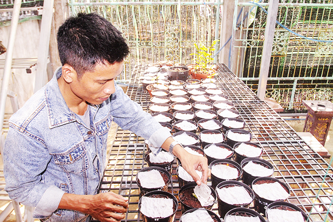 Hoa lan đột biến: Một &quot;nông dân tay&quot; ngang tỉnh Khánh Hòa bỏ lương 40-50 triệu về ươm kie lan đột biến gì? - Ảnh 2.