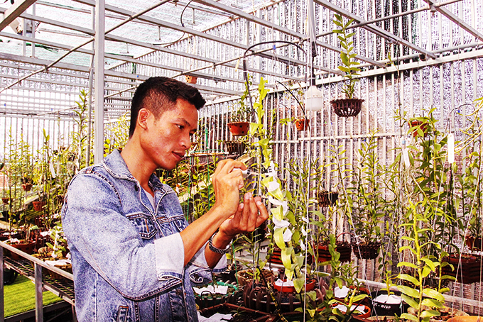 Hoa lan đột biến: Một &quot;nông dân tay&quot; ngang tỉnh Khánh Hòa bỏ lương 40-50 triệu về ươm kie lan đột biến gì? - Ảnh 5.
