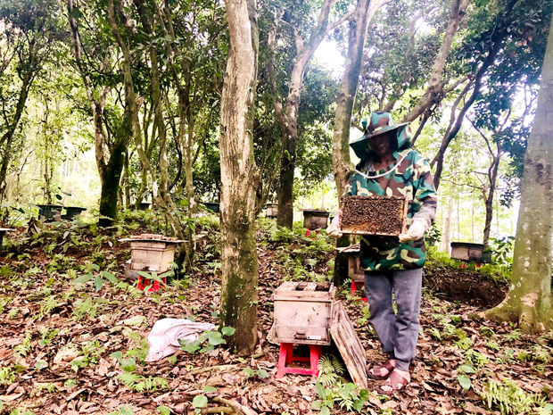 Hà Giang: Ở nơi địa đầu Tổ quốc có những cựu binh thu nhập hàng trăm triệu đồng