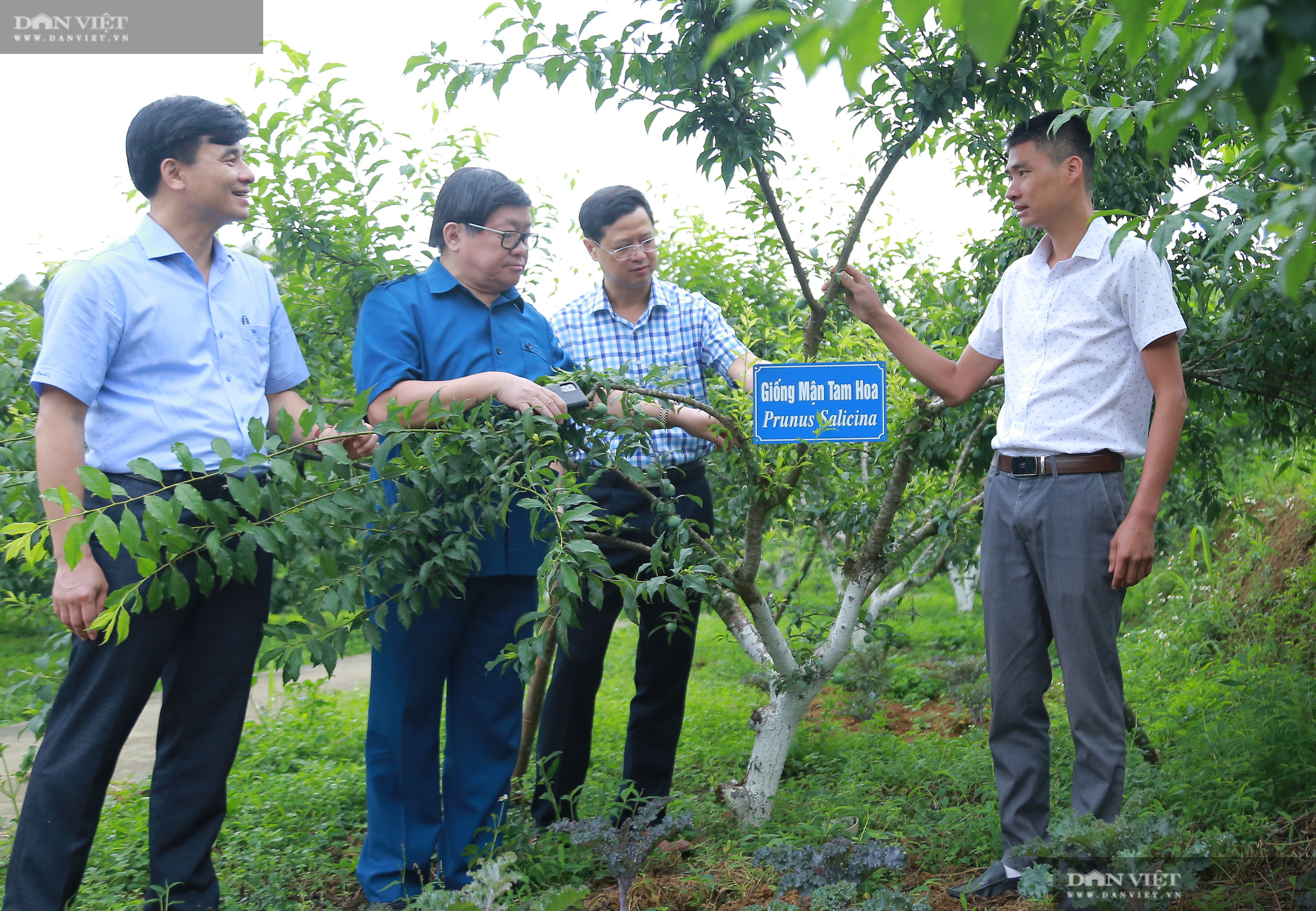 Chủ tịch Hội Nông dân Việt Nam thăm trại nghiên cứu cây ăn quả đặc sản ở biên giới - Ảnh 6.