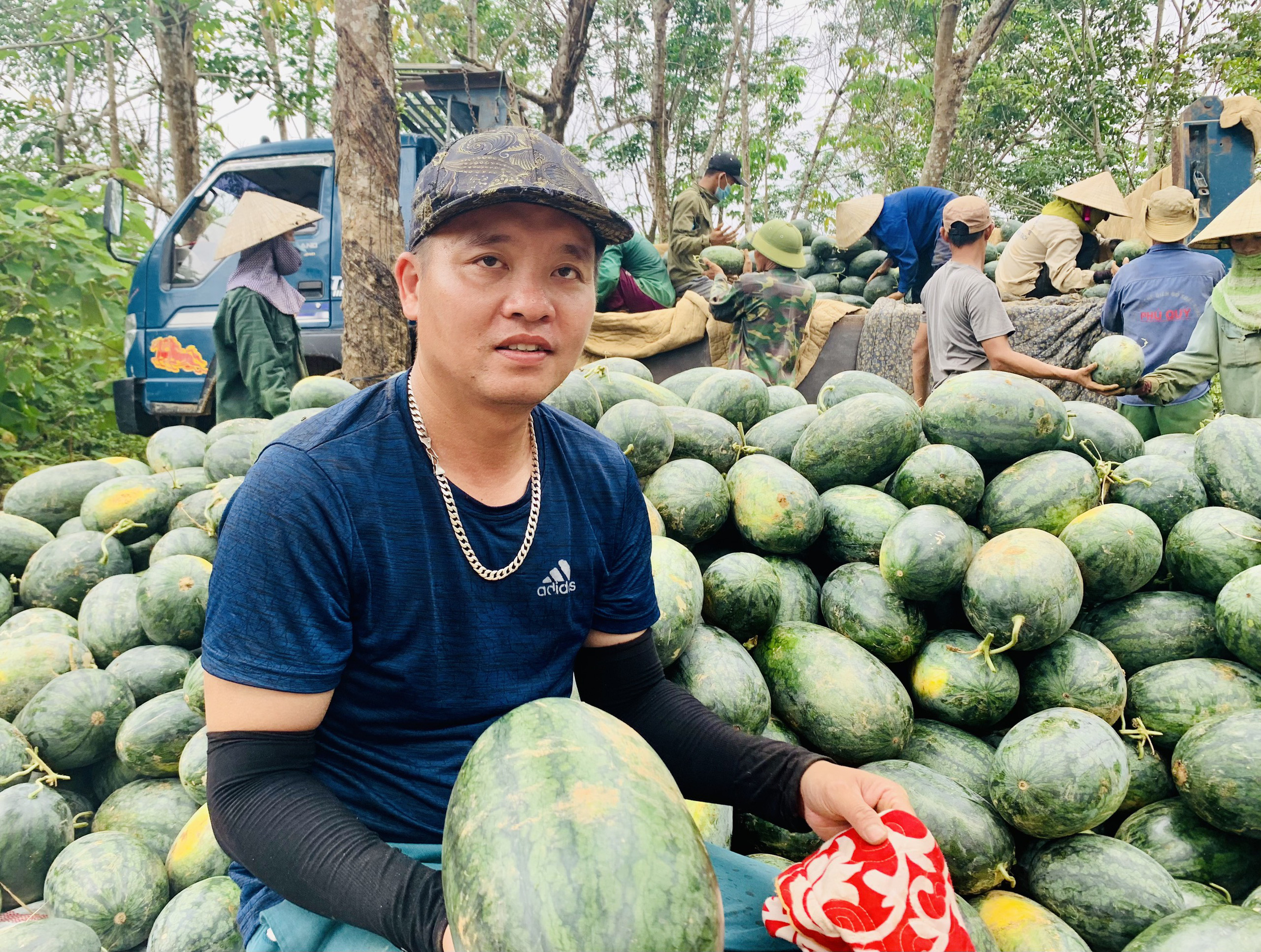 Quảng Bình: Dưa hấu cho quả to, nông dân đánh xe ô tô ra đồng thu hái - Ảnh 5.