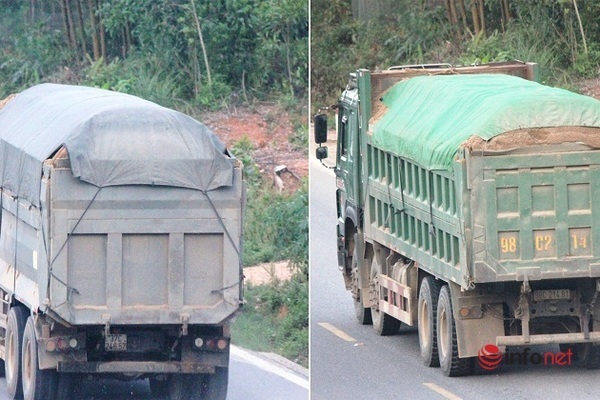 Vì lợi nhuận xe quá tải tái diễn tại nhiều tuyến quốc lộ - Ảnh 1.