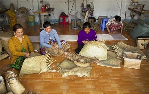 Kiên Giang: Thứ cỏ dại mọc hoang đầy đồng làm nên một sản phẩm OCOP 4 sao là loài cỏ gì? - Ảnh 3.