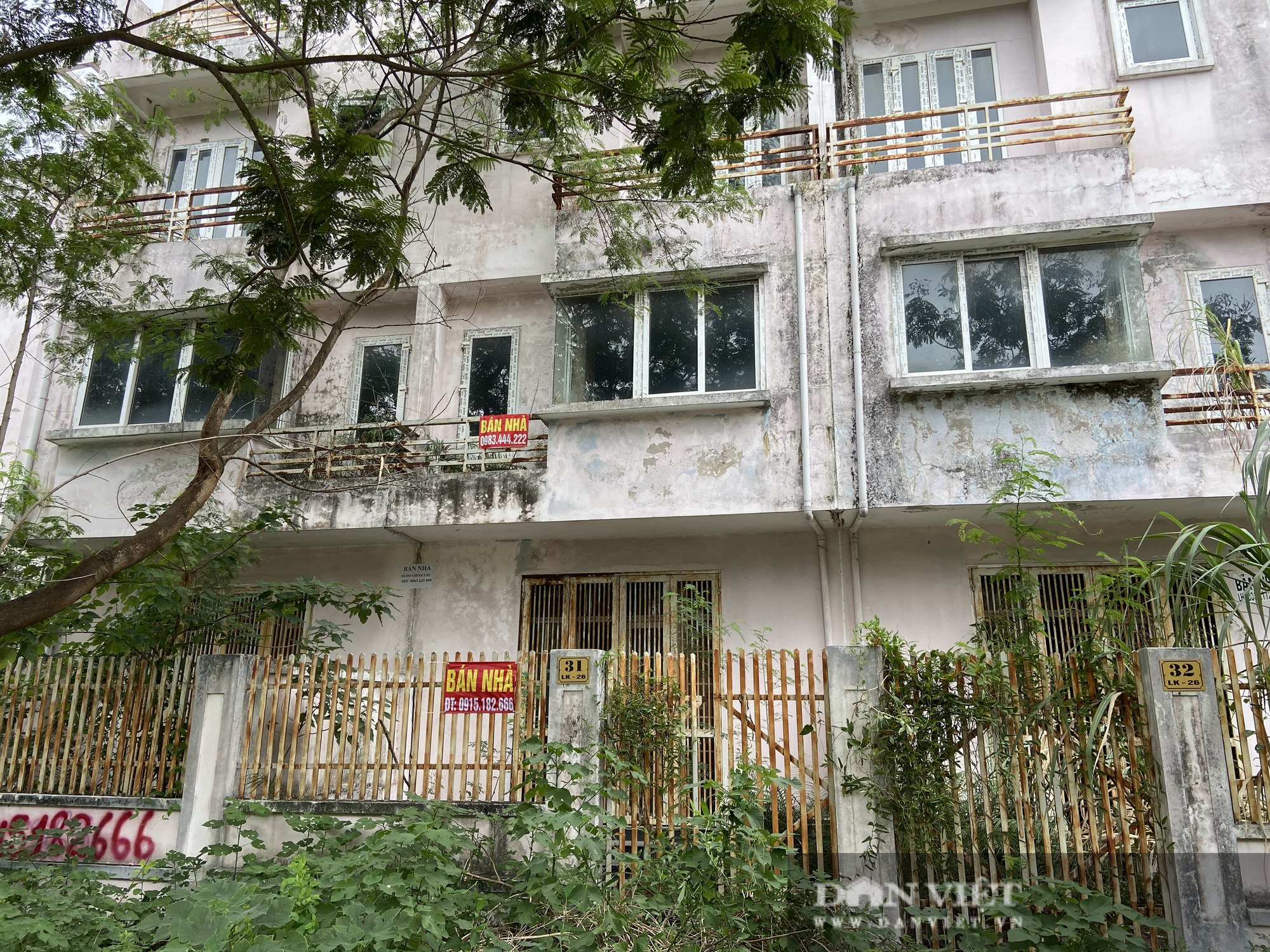 La liệt biệt thự chục tỷ đồng bỏ hoang ở Hà Nội - Ảnh 8.