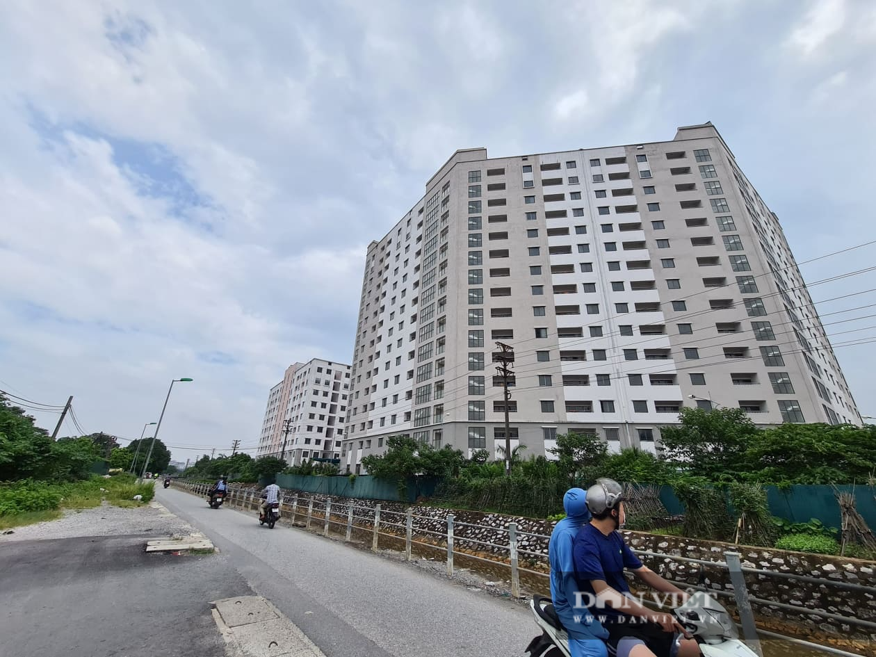 Khu nhà tái định cư ở Hà Nội bỏ hoang để nuôi gà - Ảnh 1.
