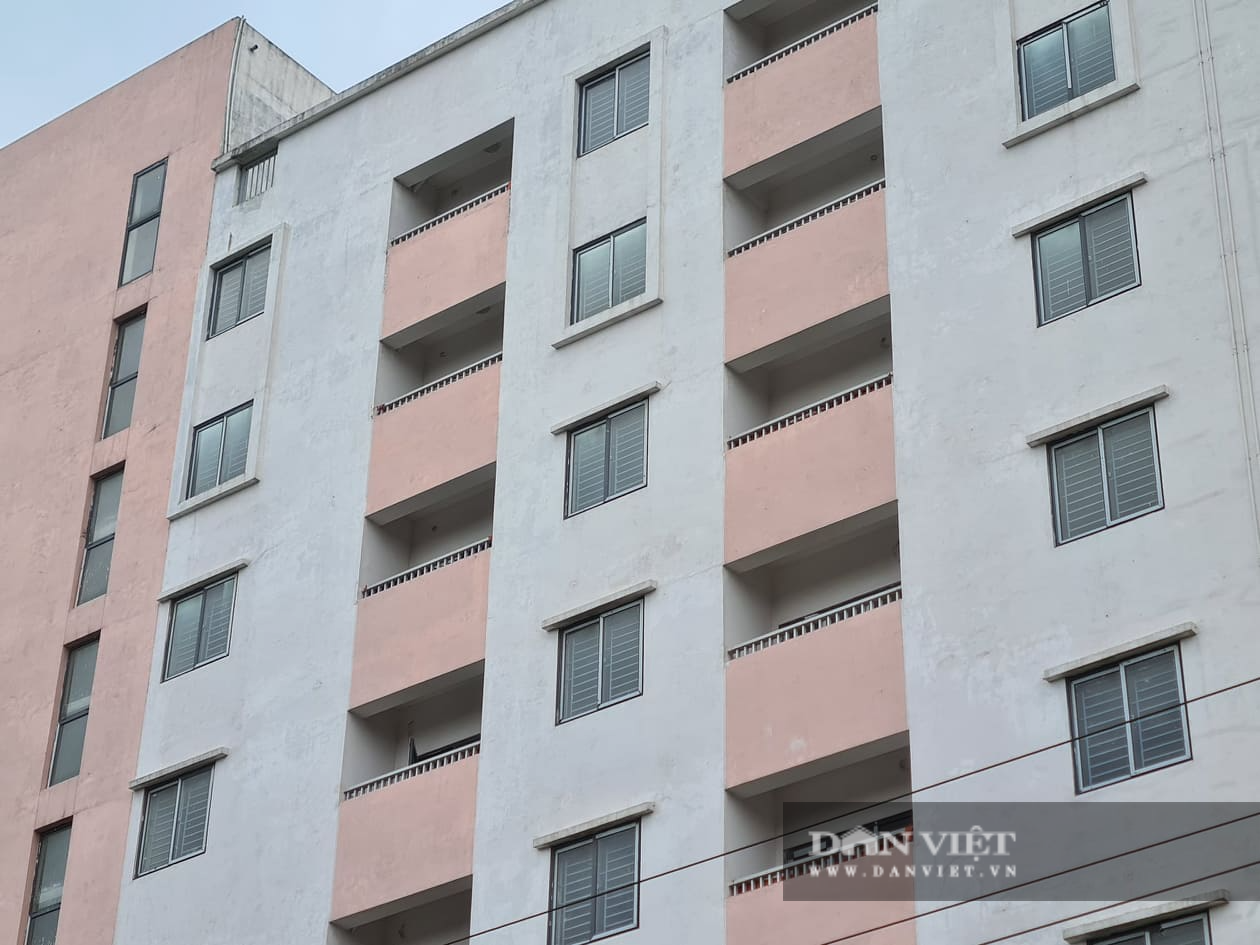 Khu nhà tái định cư ở Hà Nội bỏ hoang để nuôi gà - Ảnh 8.