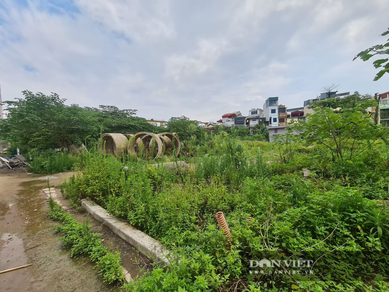 Khu nhà tái định cư ở Hà Nội bỏ hoang để nuôi gà - Ảnh 11.