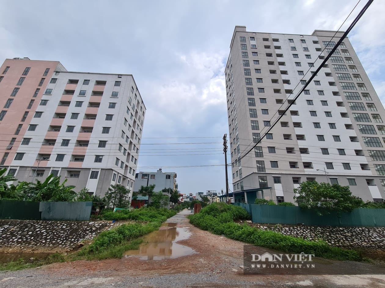 Khu nhà tái định cư ở Hà Nội bỏ hoang để nuôi gà - Ảnh 13.