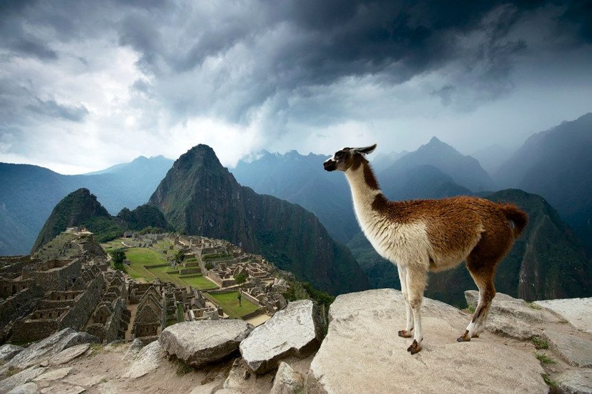 Vì sao người Inca xây thành Machu Picchu bằng đá không cần dùng vữa? - Ảnh 10.