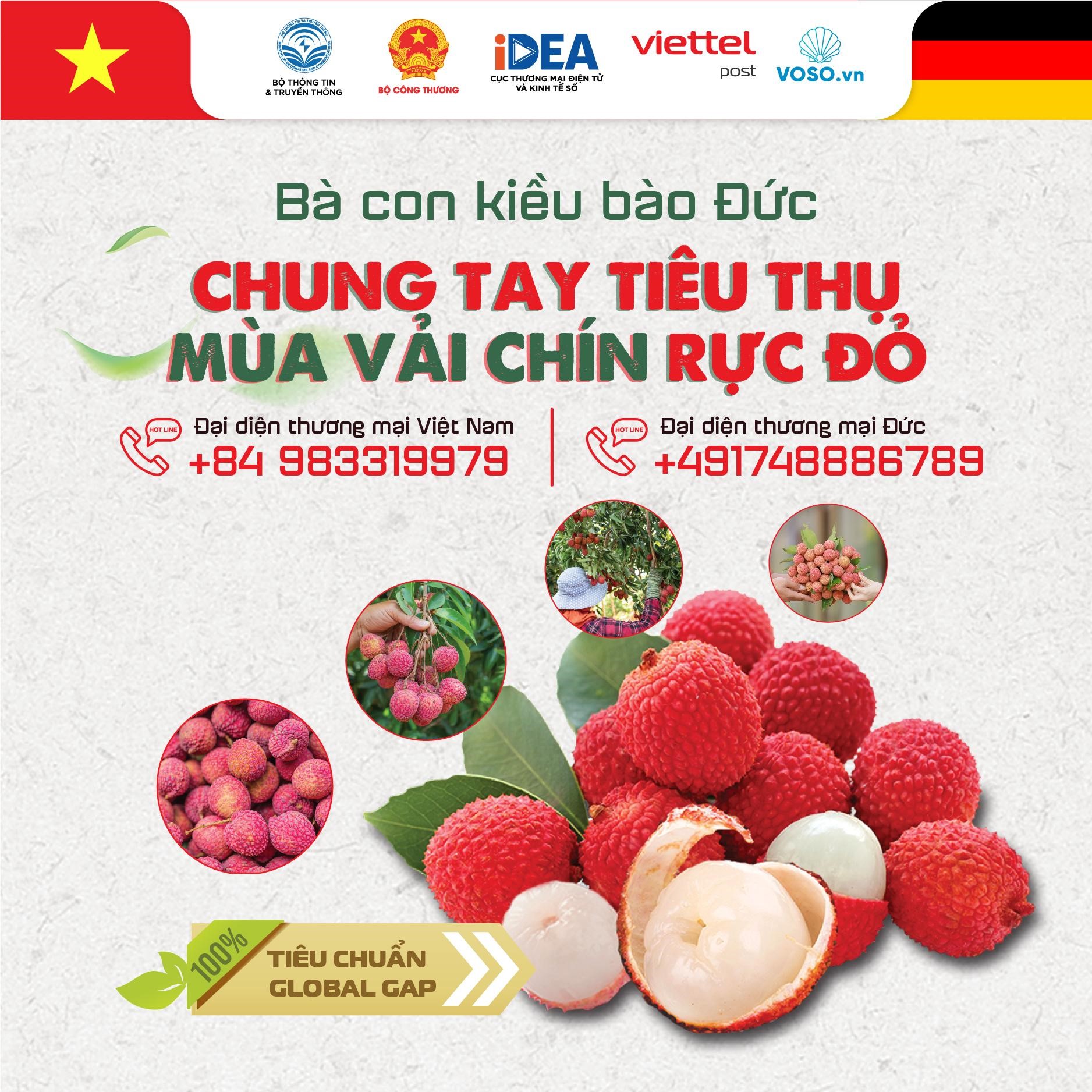 Vải thiều Bắc Giang bay sang Đức, bán hết veo 5 tấn trong ngày đầu với giá 12-15 EURO/kg - Ảnh 1.